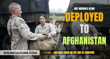 Marines on the Move: The Resurgence of Afghanistan Deployments