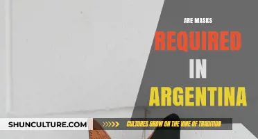 Unveiling the Truth: Are Masks Still Mandatory in Argentina?