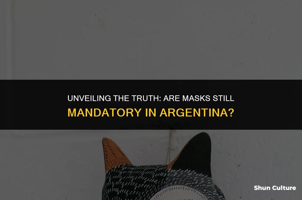 are masks required in argentina