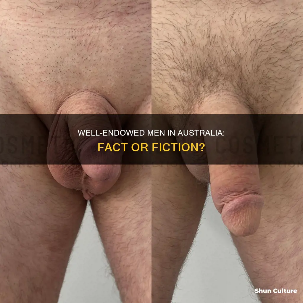 are men hung with big penis in australia