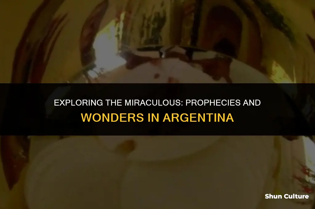 are miracles happening in argentina prophexu