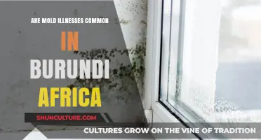 Unveiling the Truth: Mold Illnesses in Burundi, Africa
