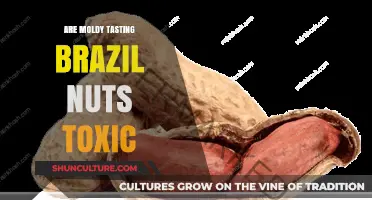 Moldy Brazil Nuts: Are They Toxic or Just Unpleasant?