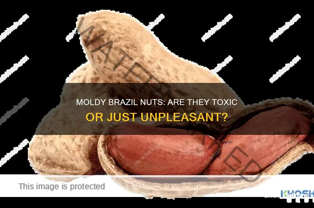 are moldy tasting brazil nuts toxic