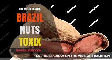 Are Moldy Brazil Nuts Toxic? Understanding Risks and Safety Tips