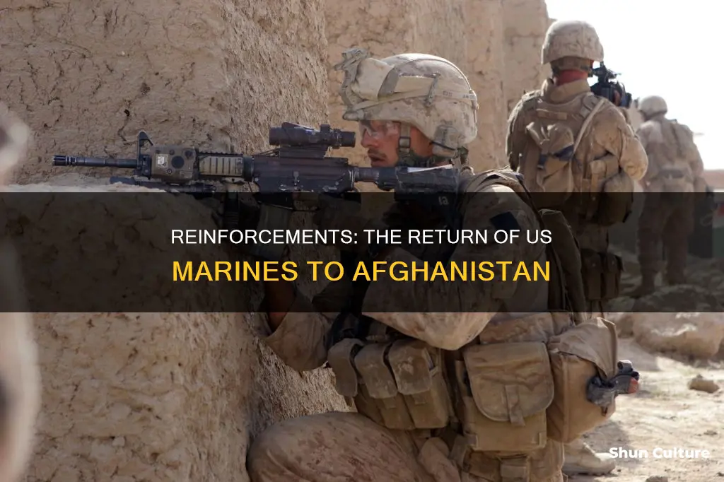 are more marines going to afghanistan