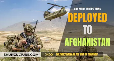 Surge in Afghanistan: US Troops Face Complex Challenges