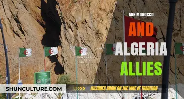 Morocco and Algeria: Allies or Adversaries in North Africa?