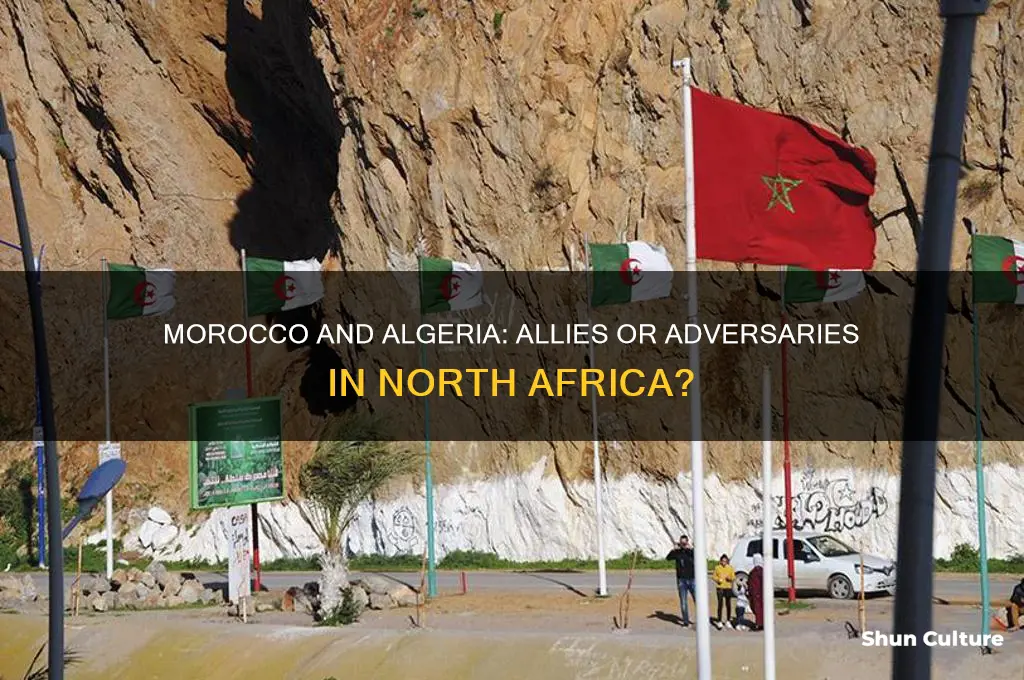 are morocco and algeria allies
