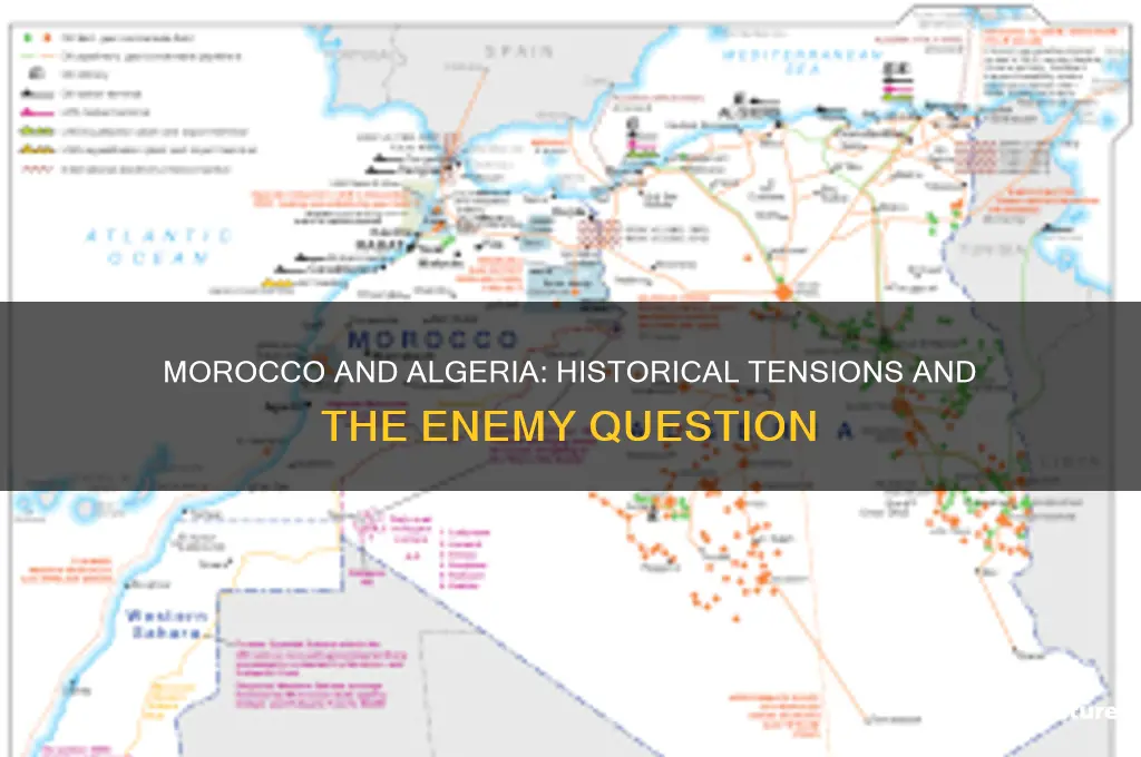 are morocco and algeria enemies