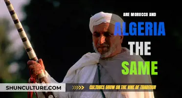 Morocco vs. Algeria: Unraveling the Differences Between These North African Nations