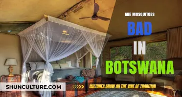 Mosquitoes in Botswana: Are They a Nuisance or a Serious Concern?
