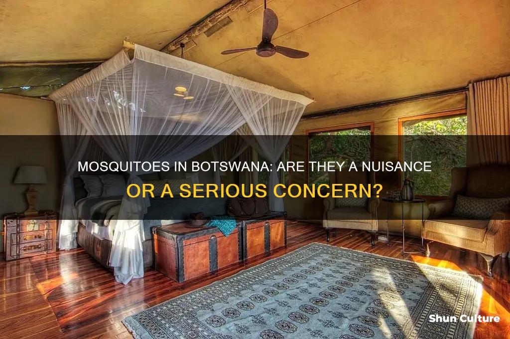 are mosquitoes bad in botswana