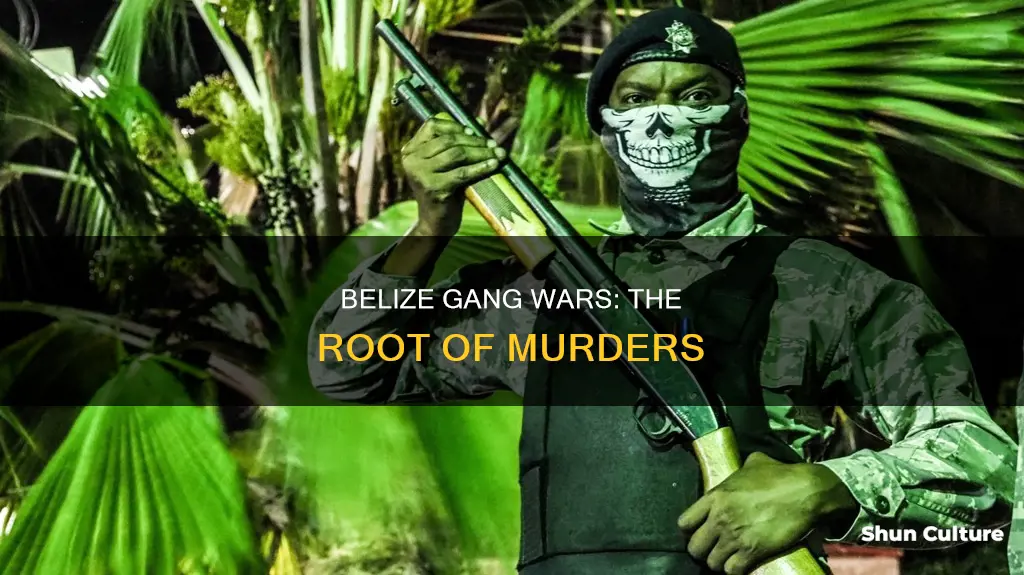 are most belize murders gangs fighting