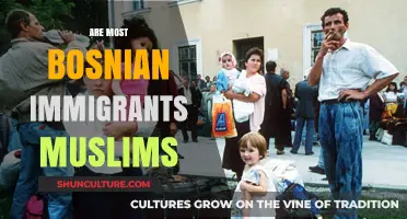 Are Bosnian Immigrants Predominantly Muslim? Exploring Cultural and Religious Identities