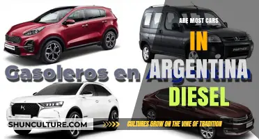 Exploring Argentina's Automotive Landscape: Diesel Dominance?