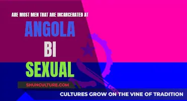 Angola Incarceration: Exploring Sexuality Among Male Prisoners