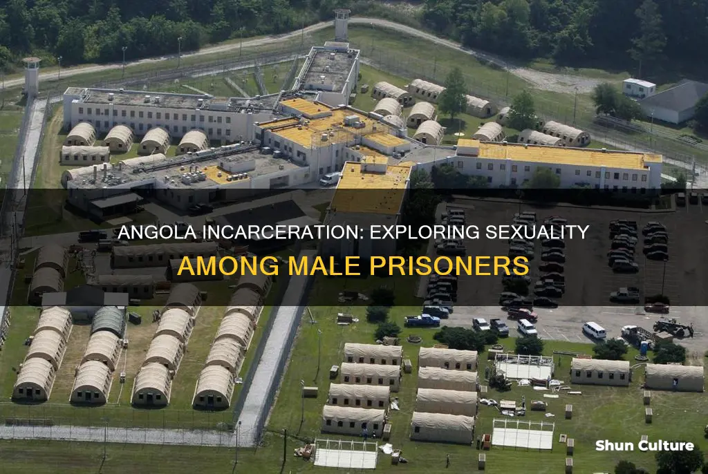 are most men that are incarcerated at angola bi sexual