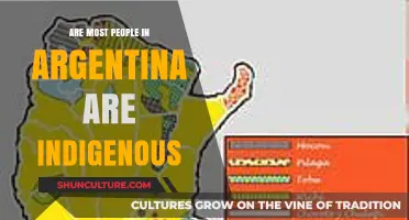 Exploring Argentina's Rich Indigenous Heritage: A Population Perspective
