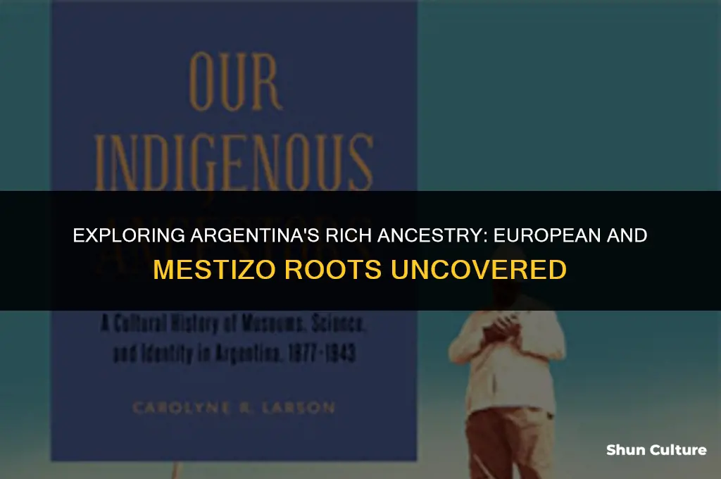 are most people in argentina from europe and mesitzo ansectry