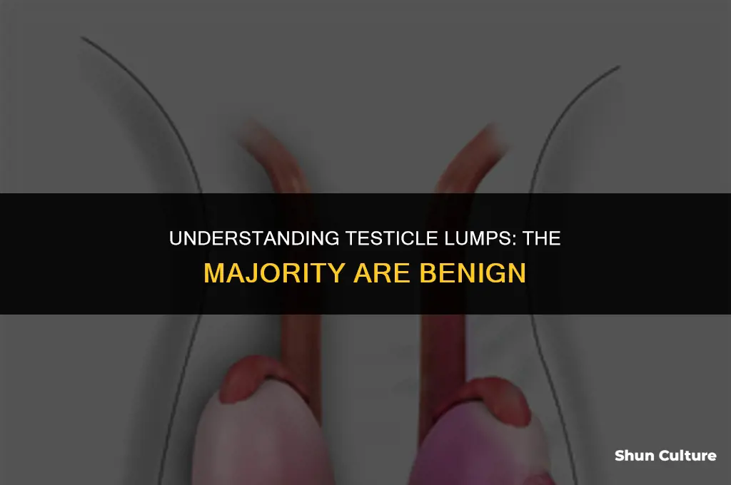 are most testicle lumps benin