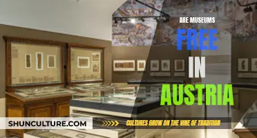 Exploring Austria: Free Access to Museums and Art?