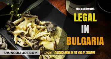 Exploring the Legal Landscape of Mushrooms in Bulgaria