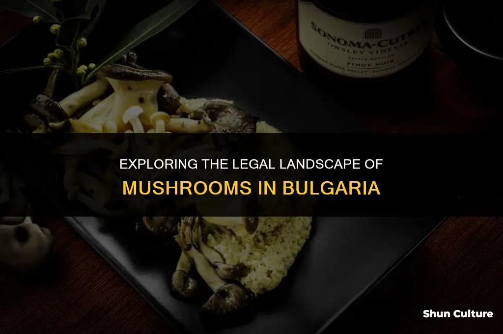 are mushrooms legal in bulgaria