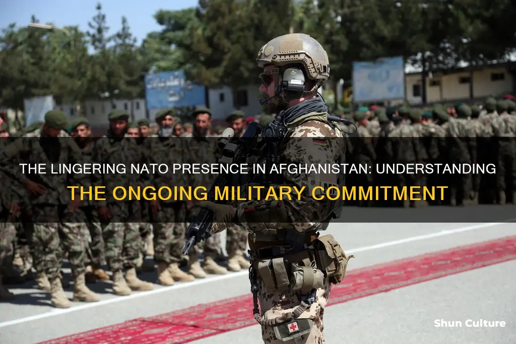 are nato troops still in afghanistan