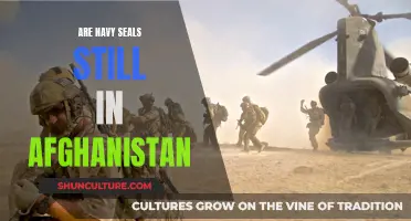 Navy SEALs in Afghanistan: An Enduring Presence?