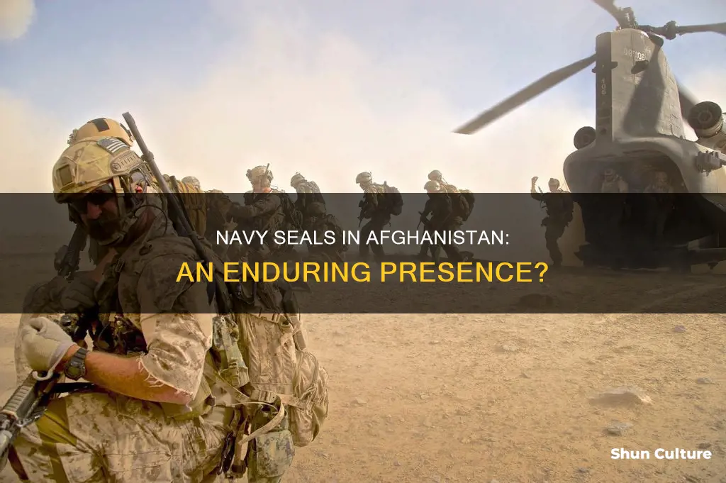 are navy seals still in afghanistan