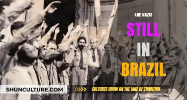 Are Nazis Still in Brazil? Uncovering the Truth Behind Extremist Groups