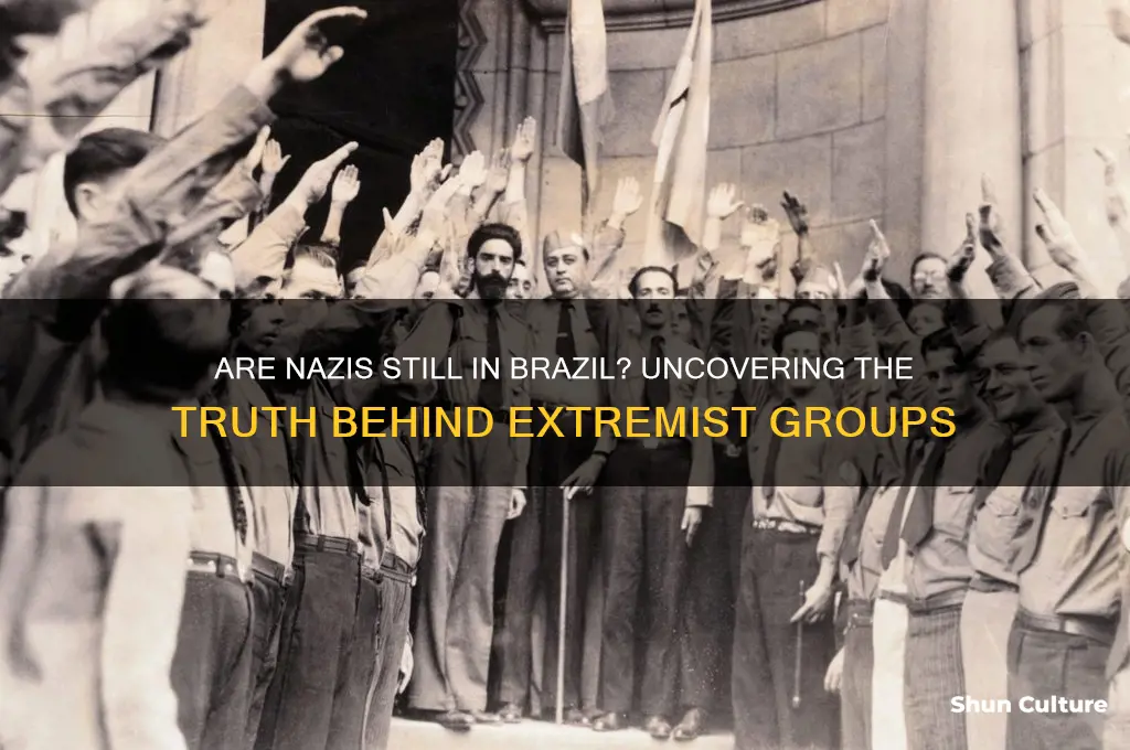 are nazis still in brazil
