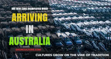 Are Imported Cars to Australia Disinfected?