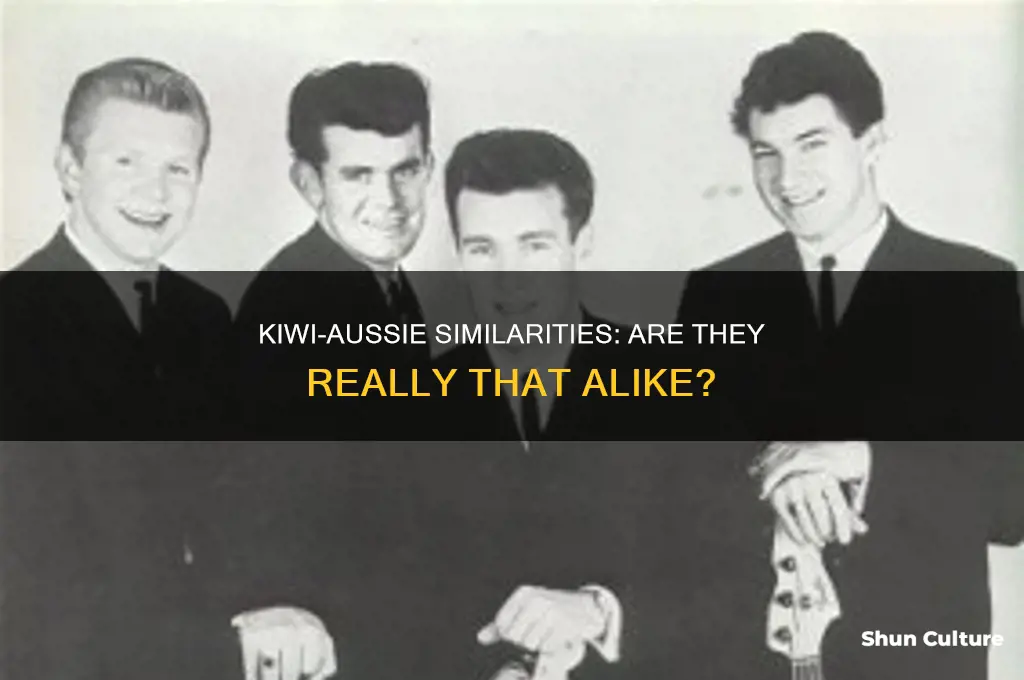 are new zeelanders something like australian peope