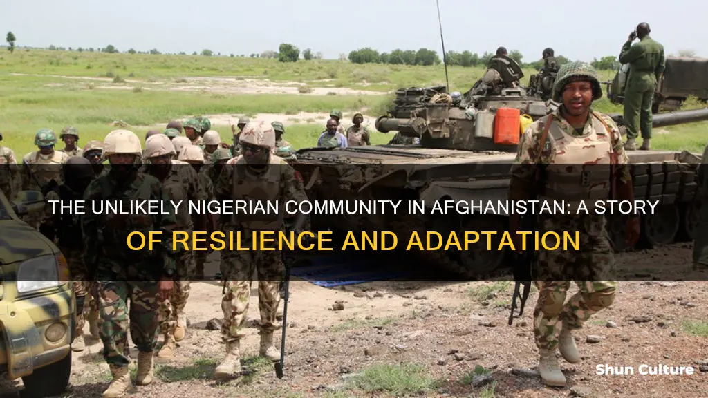 are nigerians in afghanistan