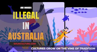 Are Nooses Illegal in Australia? Understanding the Legal Implications