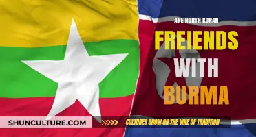 Exploring the Complex Relationship Between North Korea and Myanmar