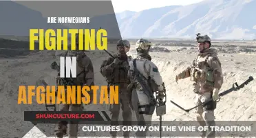 Norwegian Warriors in Afghanistan: A Study of Their Role and Impact