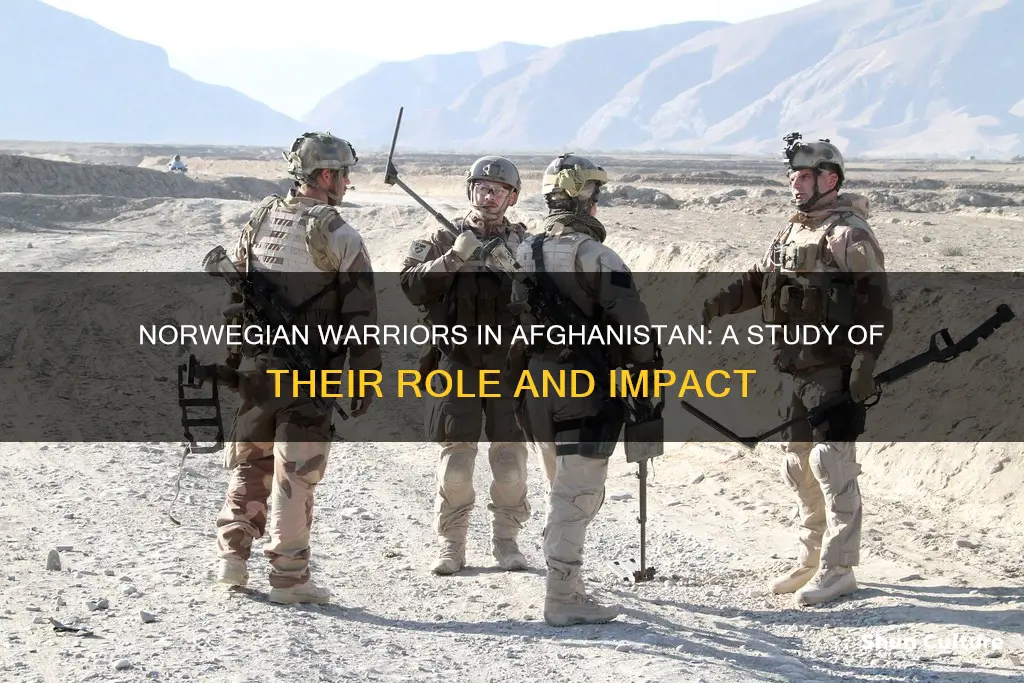 are norwegians fighting in afghanistan