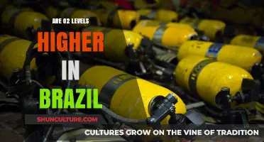 Brazil's Oxygen Levels: Are They Higher Than Other Countries?