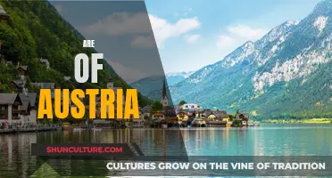 Exploring Austria's Art: A Cultural Journey