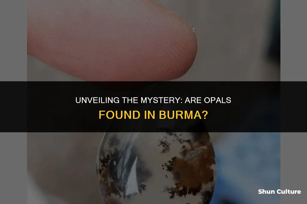 are opals found in burma