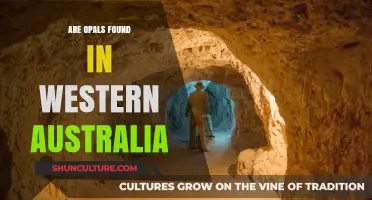 Opal Discovery in Western Australia: A Gemstone Bonanza