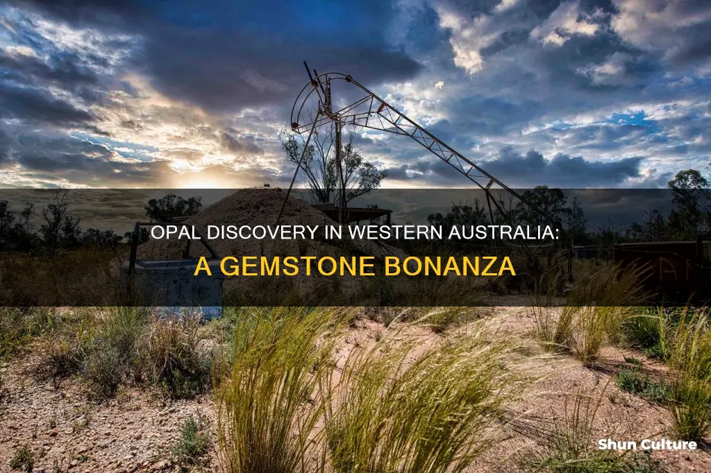 are opals found in western australia