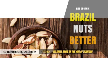 Are Organic Brazil Nuts Healthier? Uncovering the Nutritional Truth