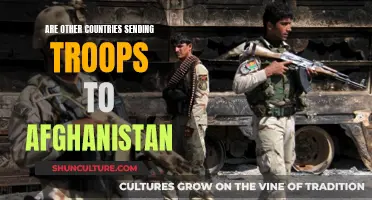 Global Military Response: The World's Show of Force in Afghanistan