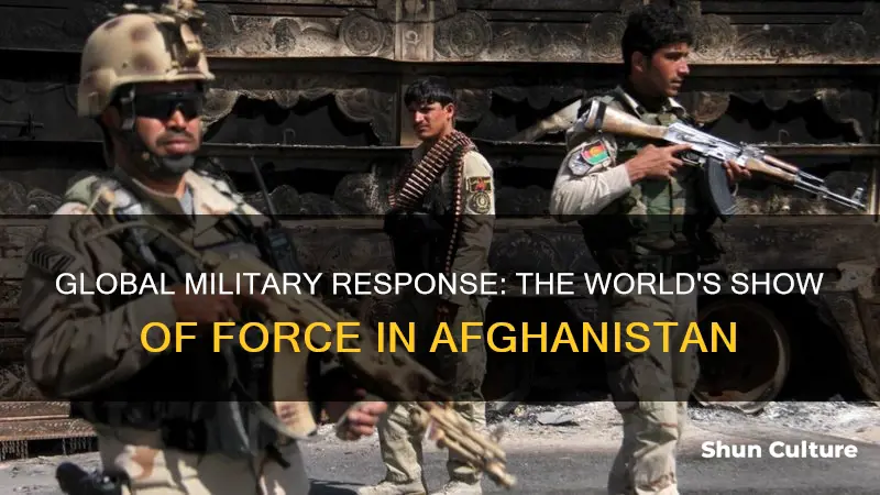 are other countries sending troops to afghanistan