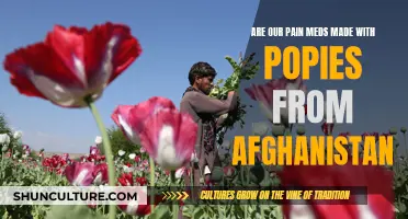 The Poppy Problem: Examining the Link Between Afghanistan's Poppy Fields and Global Painkiller Supplies