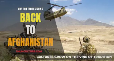 The Complex Question of Returning Troops to Afghanistan